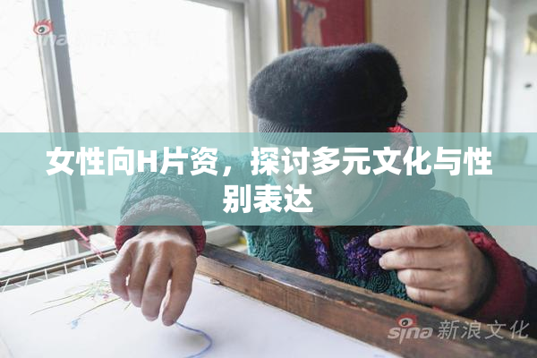 女性向H片资，探讨多元文化与性别表达