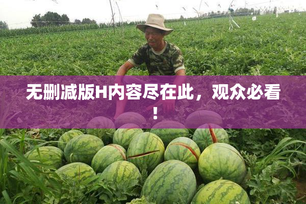无删减版H内容尽在此，观众必看！