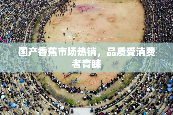 国产香蕉市场热销，品质受消费者青睐