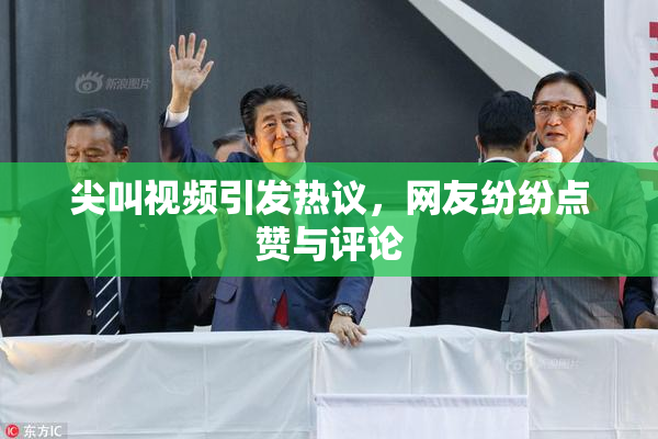 尖叫视频引发热议，网友纷纷点赞与评论