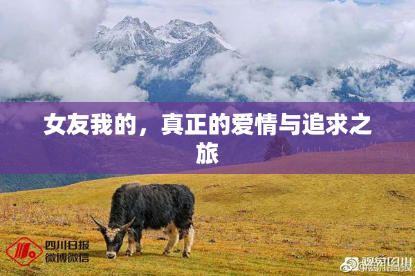 女友我的，真正的爱情与追求之旅