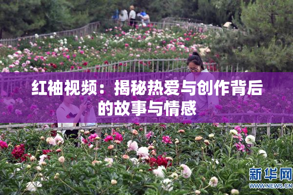 红袖视频：揭秘热爱与创作背后的故事与情感