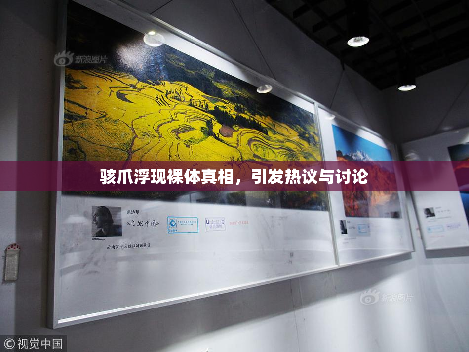 骇爪浮现裸体真相，引发热议与讨论