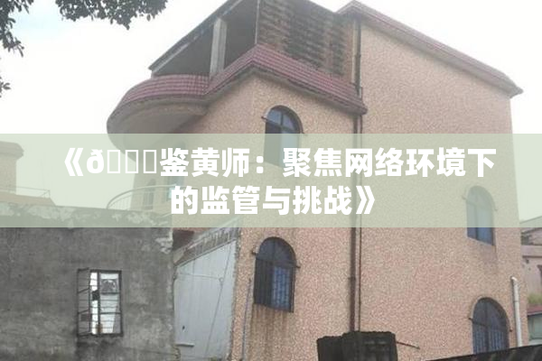 《🔞鉴黄师：聚焦网络环境下的监管与挑战》