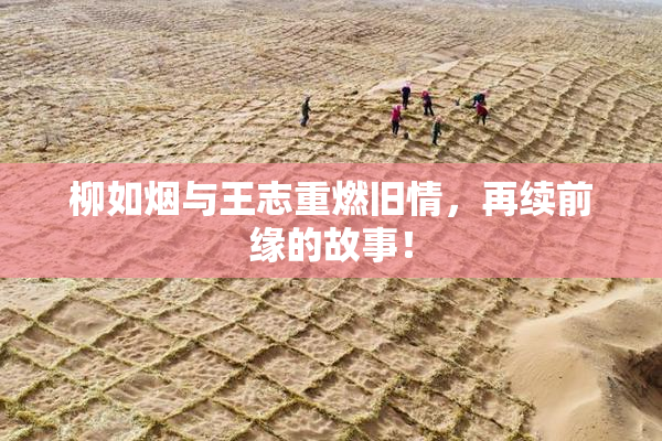 柳如烟与王志重燃旧情，再续前缘的故事！