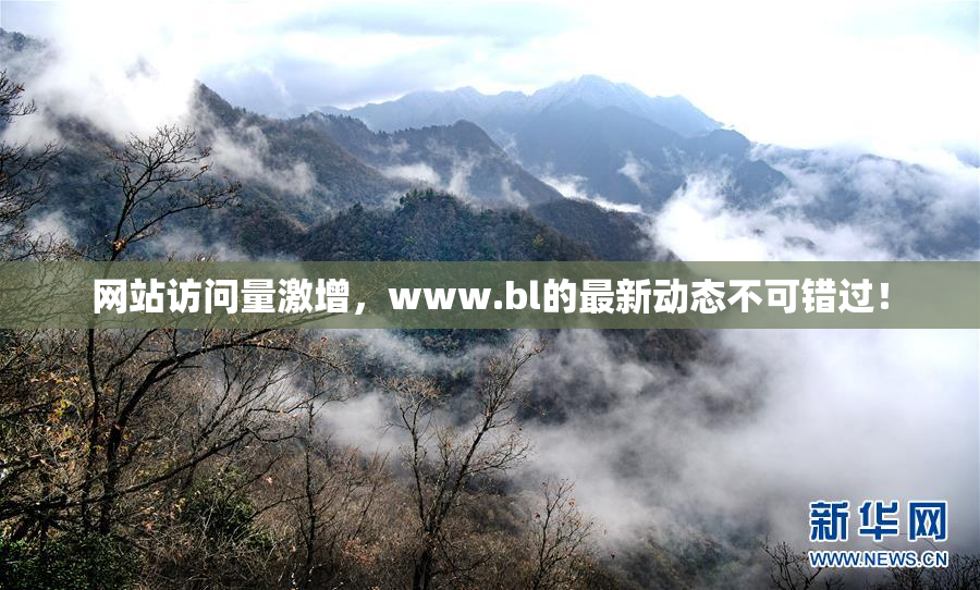 网站访问量激增，www.bl的最新动态不可错过！