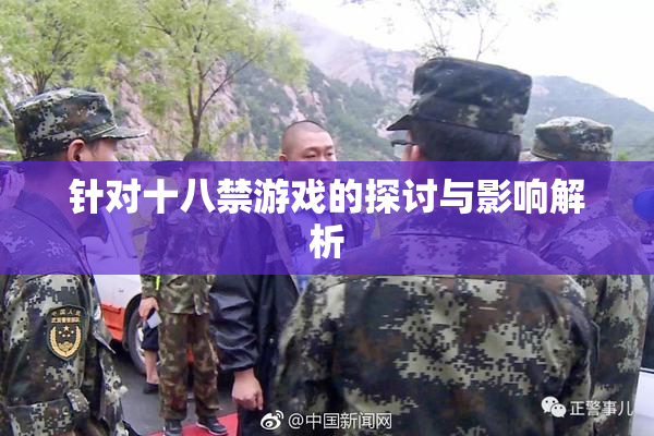 针对十八禁游戏的探讨与影响解析