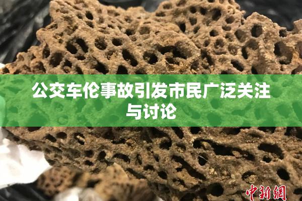 公交车伦事故引发市民广泛关注与讨论