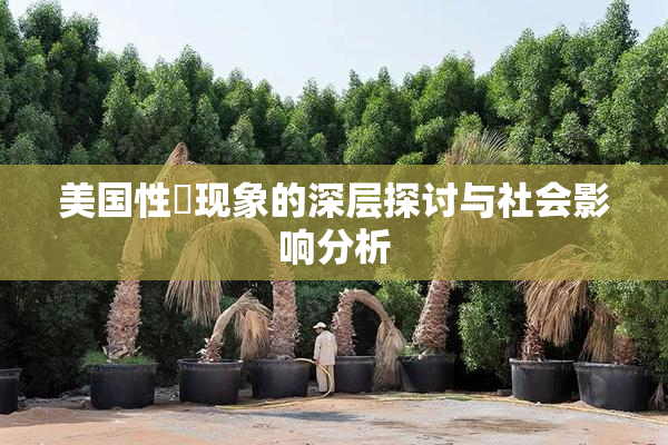 美国性婬现象的深层探讨与社会影响分析