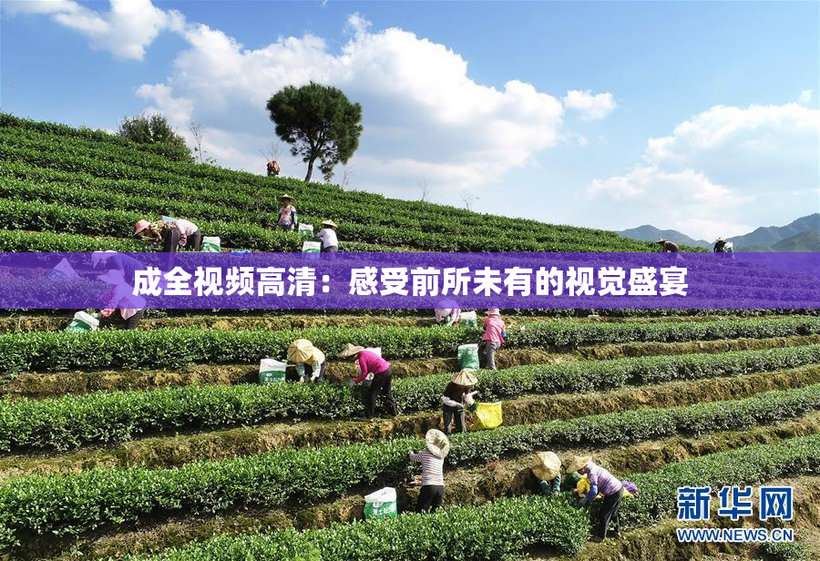 成全视频高清：感受前所未有的视觉盛宴
