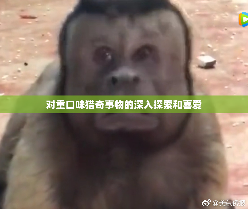 对重口味猎奇事物的深入探索和喜爱