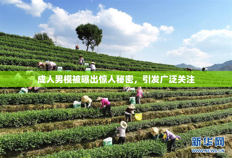 成人男模被曝出惊人秘密，引发广泛关注