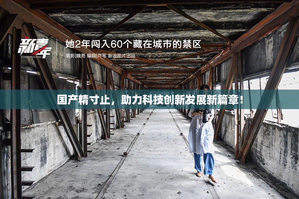 国产精寸止，助力科技创新发展新篇章！
