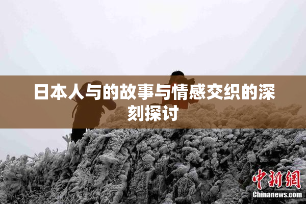 日本人与的故事与情感交织的深刻探讨