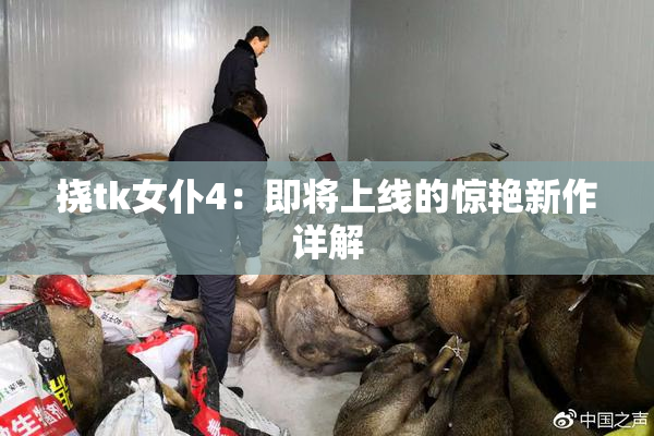 挠tk女仆4：即将上线的惊艳新作详解