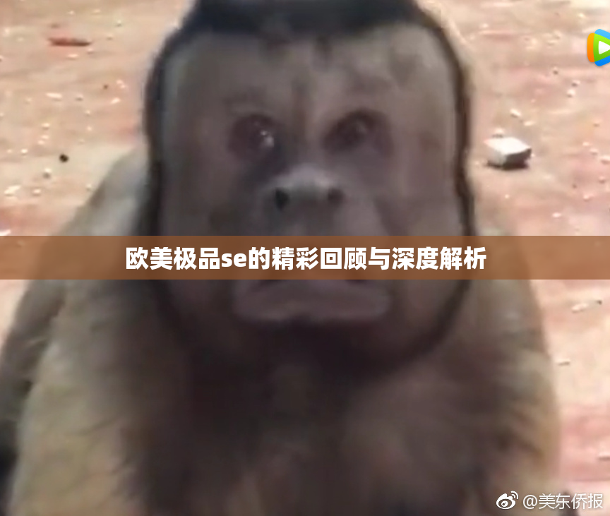 欧美极品se的精彩回顾与深度解析