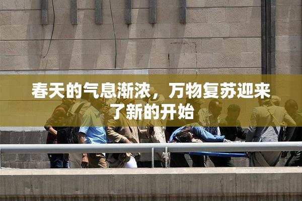 春天的气息渐浓，万物复苏迎来了新的开始