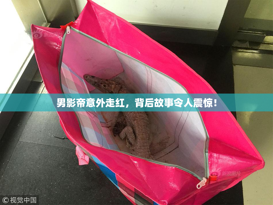 男影帝意外走红，背后故事令人震惊！