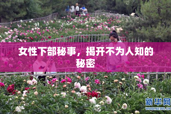 女性下部秘事，揭开不为人知的秘密