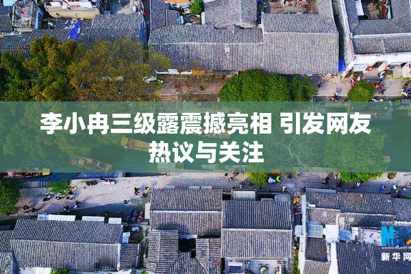 李小冉三级露震撼亮相 引发网友热议与关注