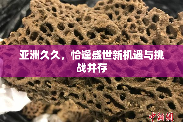 亚洲久久，恰逢盛世新机遇与挑战并存
