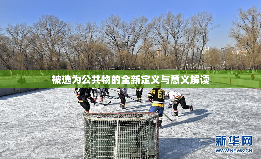被选为公共物的全新定义与意义解读