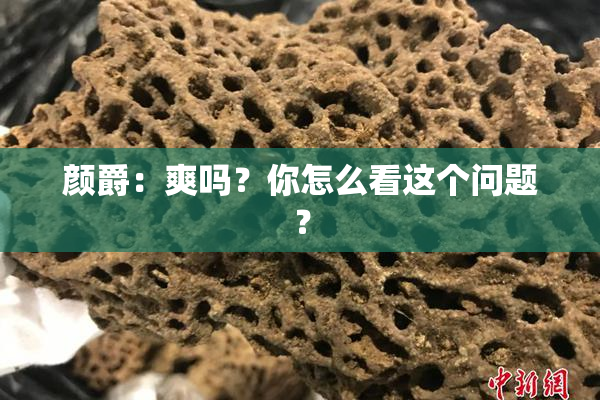颜爵：爽吗？你怎么看这个问题？