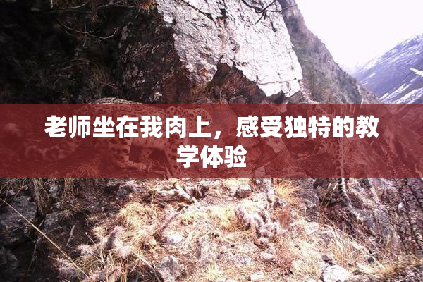 老师坐在我肉上，感受独特的教学体验