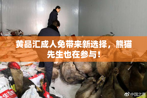 黄品汇成人免带来新选择，熊猫先生也在参与！