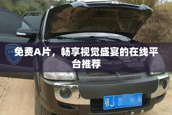 免费A片，畅享视觉盛宴的在线平台推荐