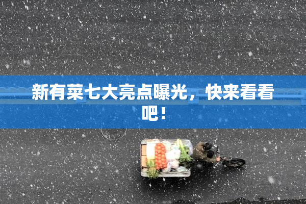 新有菜七大亮点曝光，快来看看吧！