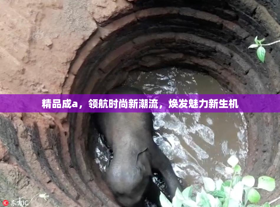 精品成a，领航时尚新潮流，焕发魅力新生机