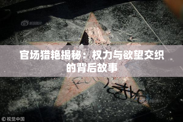 官场猎艳揭秘：权力与欲望交织的背后故事