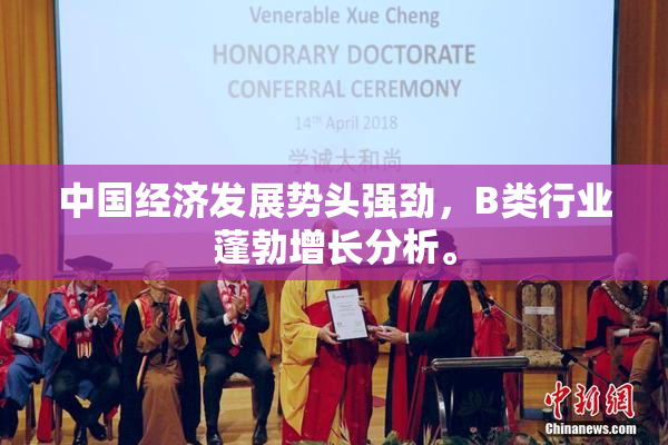 中国经济发展势头强劲，B类行业蓬勃增长分析。