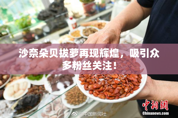 沙奈朵贝拔萝再现辉煌，吸引众多粉丝关注！