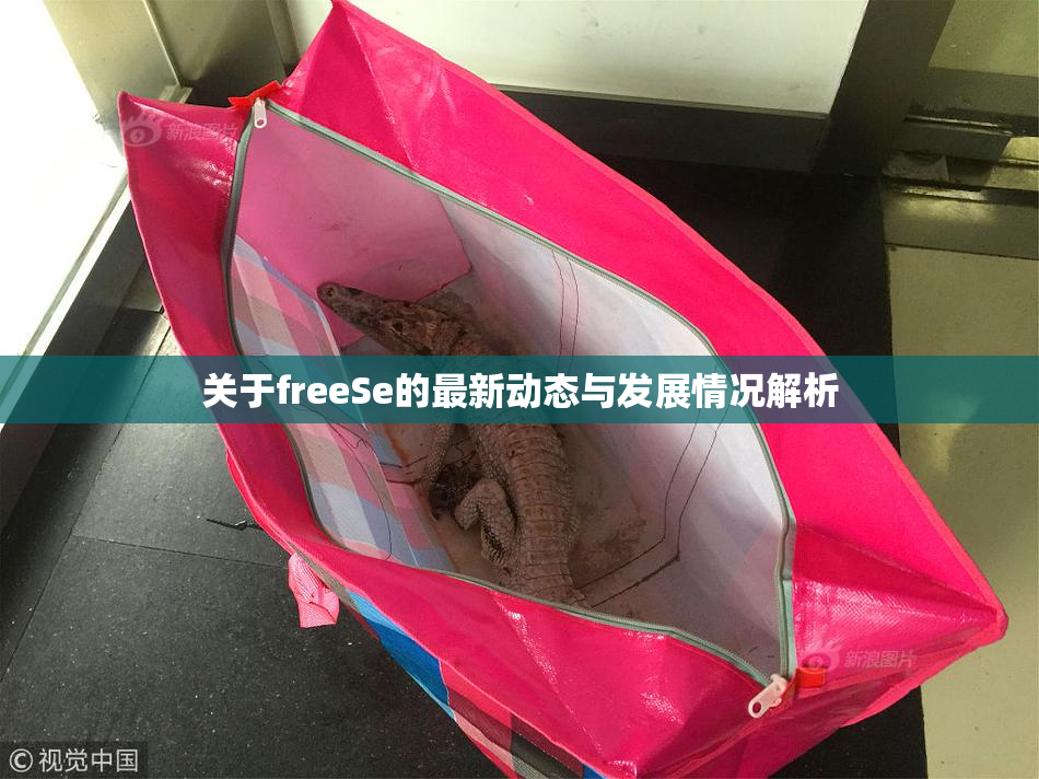 关于freeSe的最新动态与发展情况解析