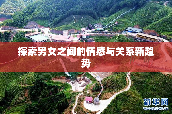 探索男女之间的情感与关系新趋势