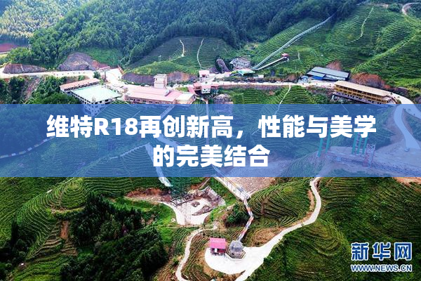 维特R18再创新高，性能与美学的完美结合