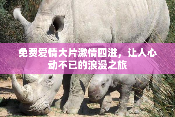 免费爱情大片激情四溢，让人心动不已的浪漫之旅