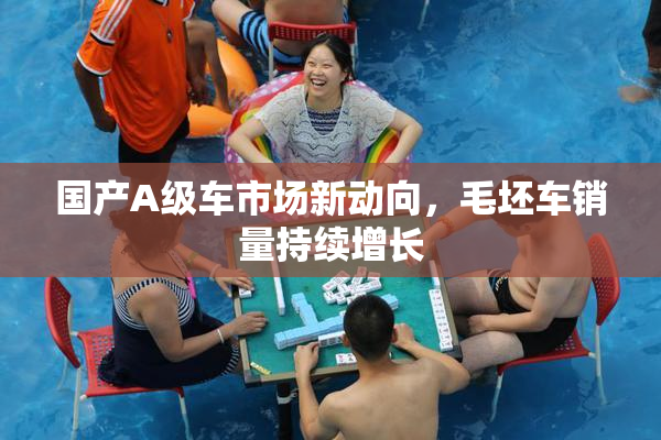 国产A级车市场新动向，毛坯车销量持续增长