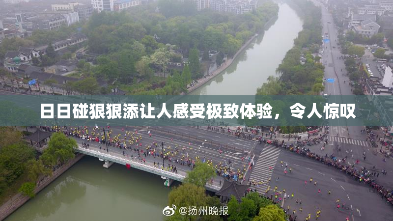 日日碰狠狠添让人感受极致体验，令人惊叹