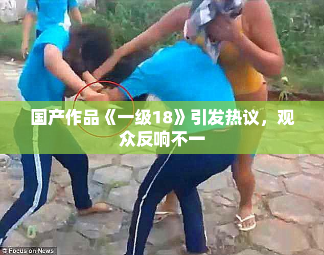 国产作品《一级18》引发热议，观众反响不一