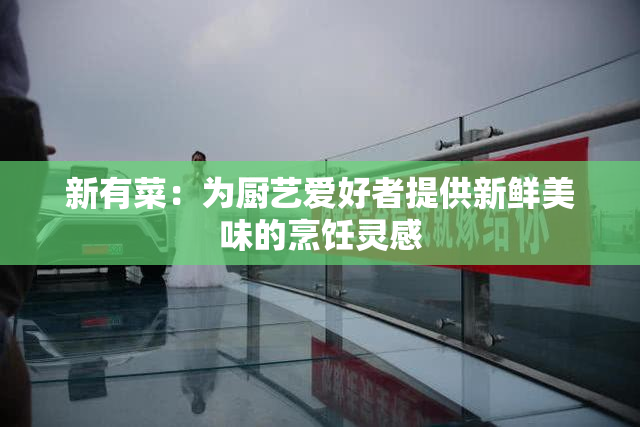 新有菜：为厨艺爱好者提供新鲜美味的烹饪灵感