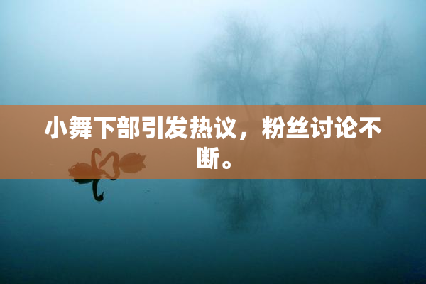 小舞下部引发热议，粉丝讨论不断。