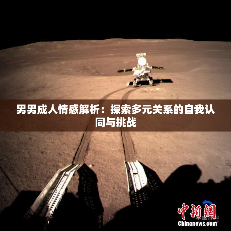 男男成人情感解析：探索多元关系的自我认同与挑战