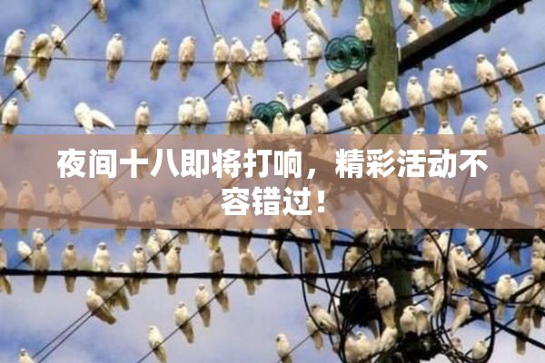 夜间十八即将打响，精彩活动不容错过！