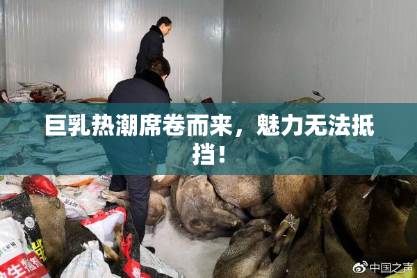 巨乳热潮席卷而来，魅力无法抵挡！