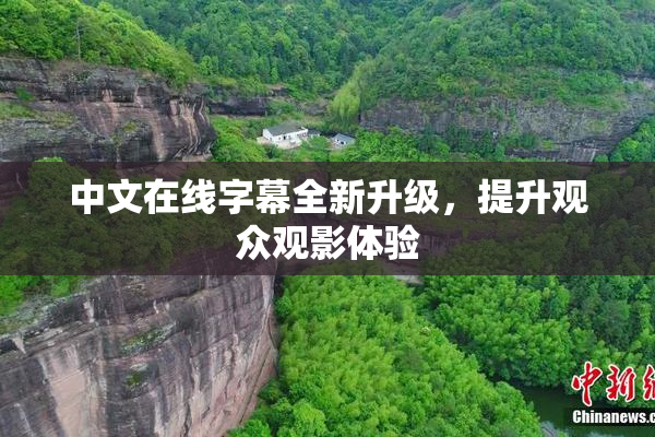 中文在线字幕全新升级，提升观众观影体验