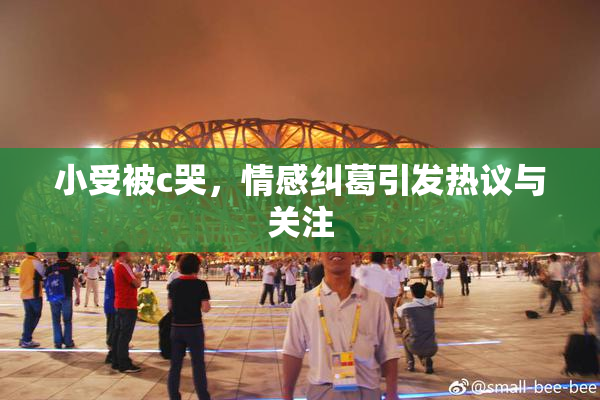 小受被c哭，情感纠葛引发热议与关注