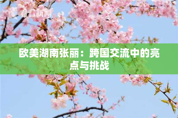 欧美湖南张丽：跨国交流中的亮点与挑战